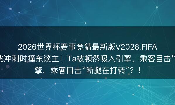 2026世界杯赛事竞猜最新版V2026.FIFA 好意思客机腾飞冲刺时撞东谈主！Ta被顿然吸入引擎，乘客目击“断腿在打转”？！