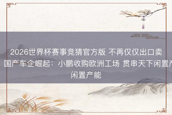 2026世界杯赛事竞猜官方版 不再仅仅出口卖车!国产车企崛起:小鹏收购欧洲工场 贯串天下闲置产能