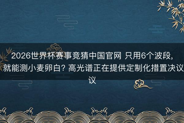 2026世界杯赛事竞猜中国官网 只用6个波段， 就能测小麦卵白? 高光谱正在提供定制化措置决议