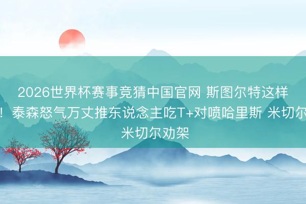 2026世界杯赛事竞猜中国官网 斯图尔特这样舒缓！泰森怒气万丈推东说念主吃T+对喷哈里斯 米切尔劝架