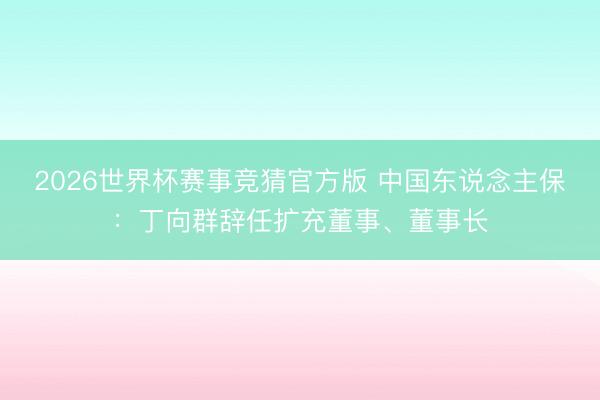 2026世界杯赛事竞猜官方版 中国东说念主保：丁向群辞任扩充董事、董事长