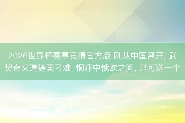 2026世界杯赛事竞猜官方版 刚从中国离开, 武契奇又遭德国