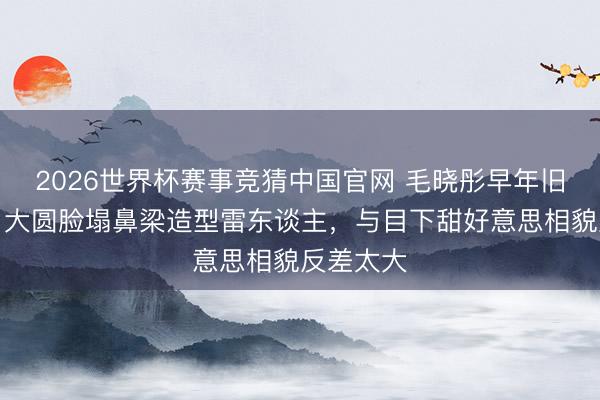 2026世界杯赛事竞猜中国官网 毛晓彤早年旧照被扒！大圆脸塌鼻梁造型雷东谈主，与目下甜好意思相貌反差太大