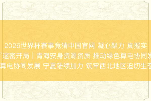 2026世界杯赛事竞猜中国官网 凝心聚力 真握实干 勤劳完毕“十五五”邃密开局|青海安身资源资质 推动绿色算电协同发展 宁夏陆续加力 筑牢西北地区迫切生态安全樊篱
